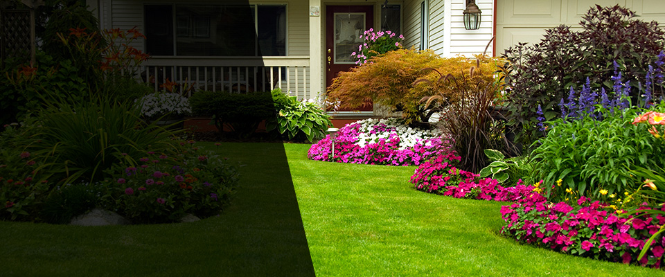 Corona Landscapers